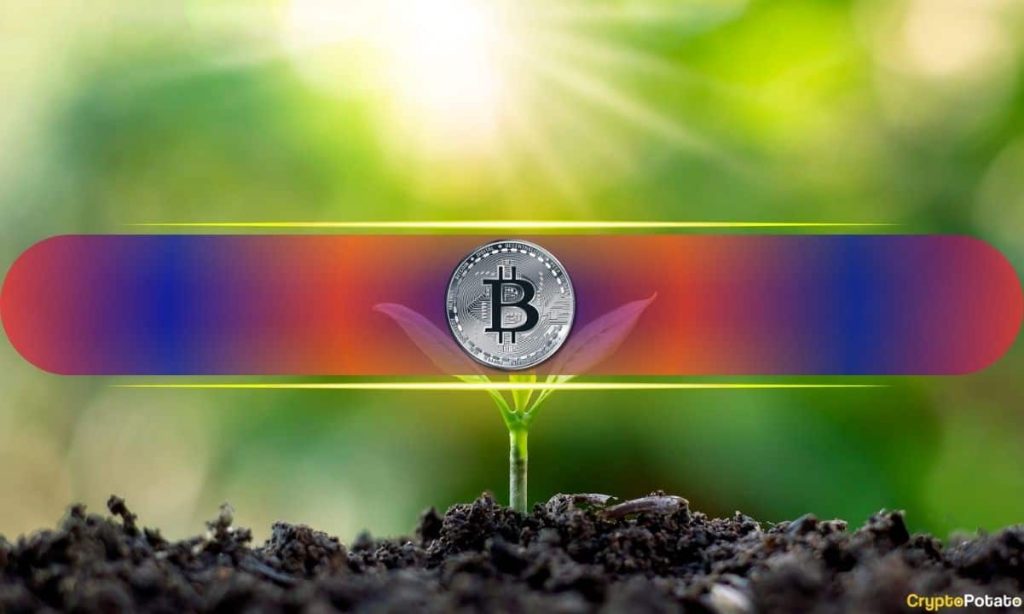 BTC Open Interest Drops 50% Leaving Market Primed for a Big Move BTC Open Interest Drops 50% Leaving Market Primed for a Big Move