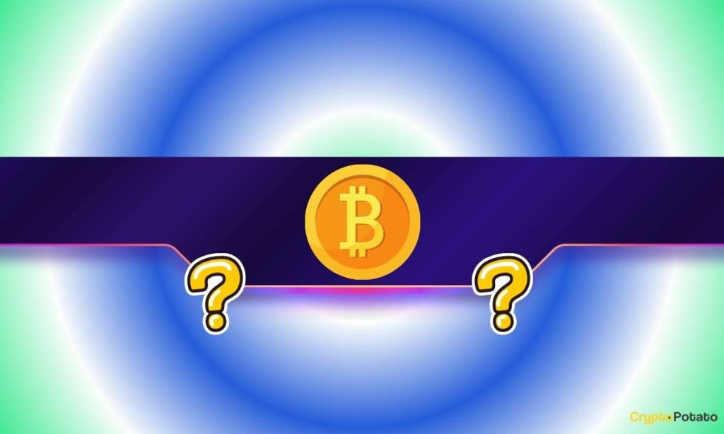 Is SpaceX's IPO Bullish or Bearish for Bitcoin? (The Answer Was Dubious)